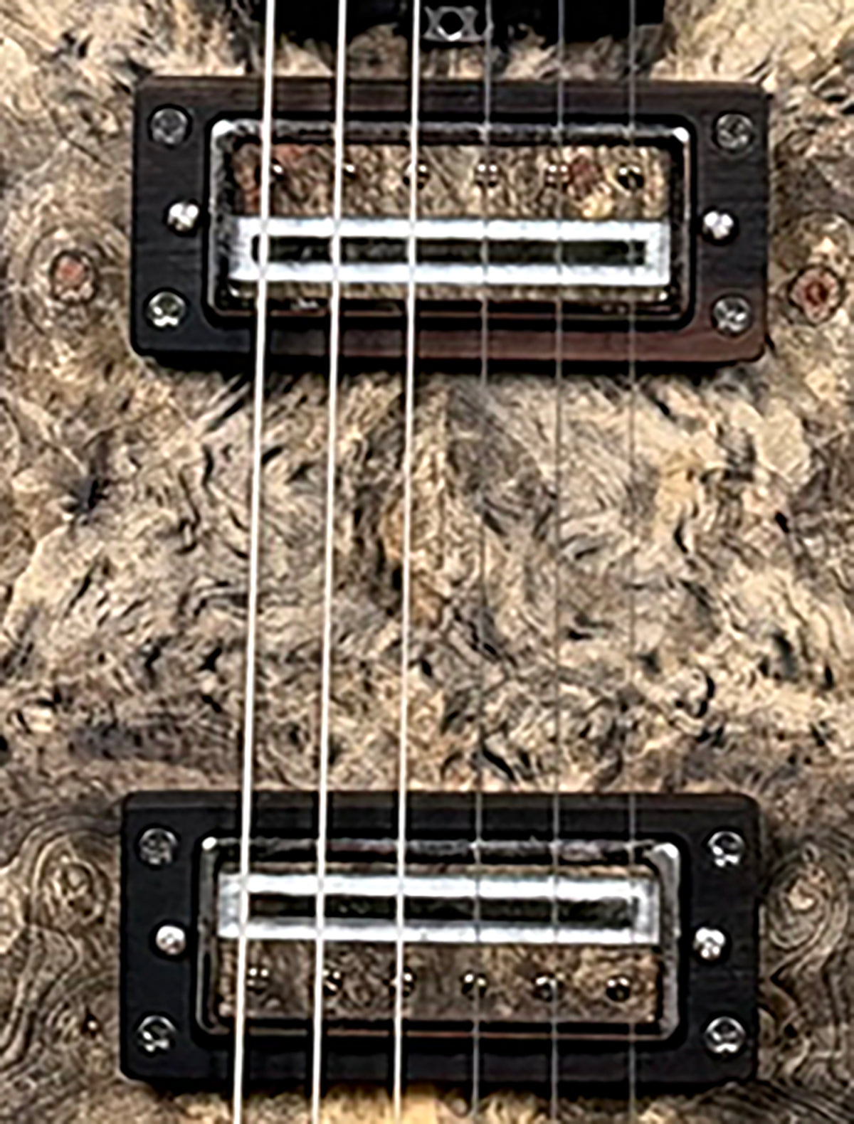 2026 Losch Guitars Buckeye Burl Ultra Light Serial Number 021