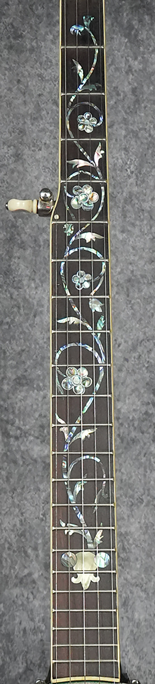 Rosenberg/Flesher No 1 Open Back Banjo