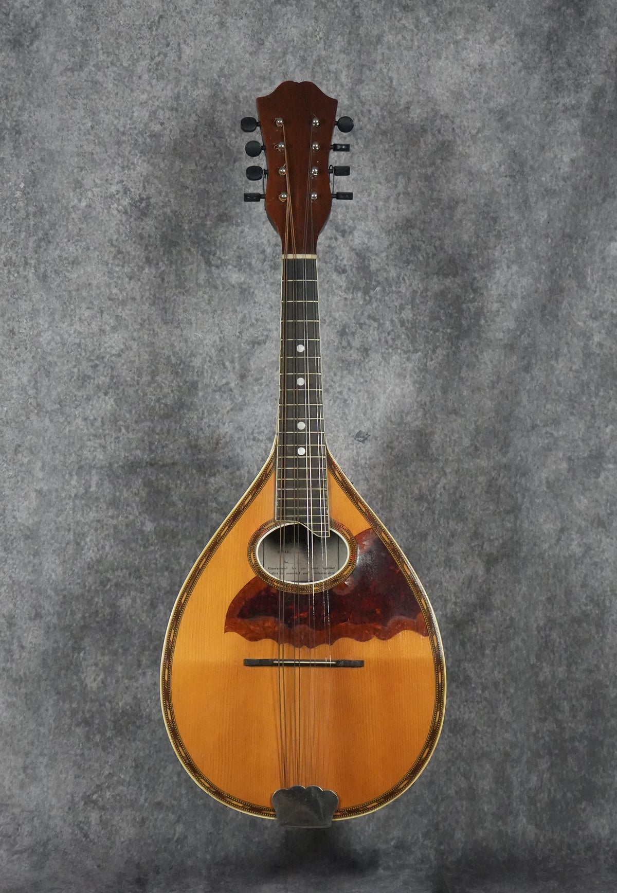Supertone Mandolin